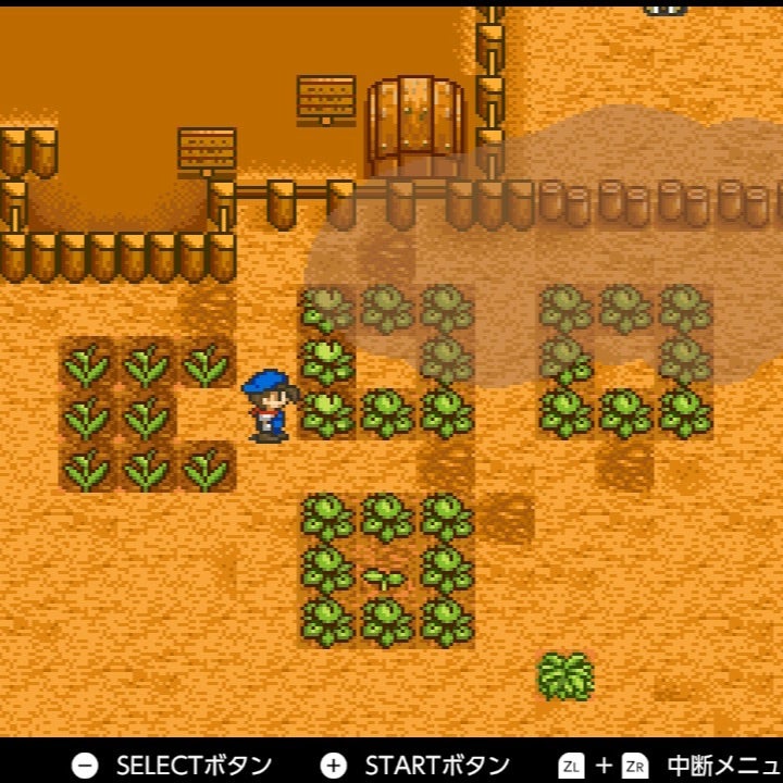 初代　牧場物語　SFC