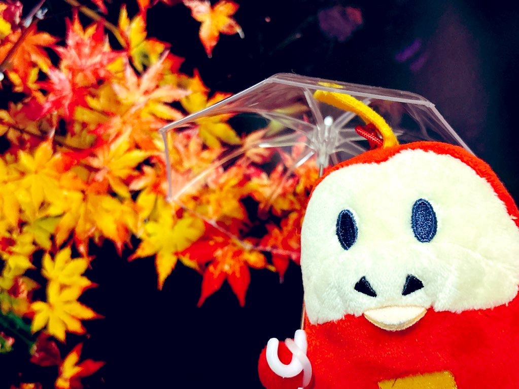 ぬい撮り　ホゲータ