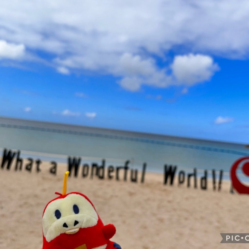 ぬい撮り　ポケモン　ホゲータ